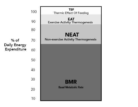 Why You're Not Losing Weight (even though you're trying)